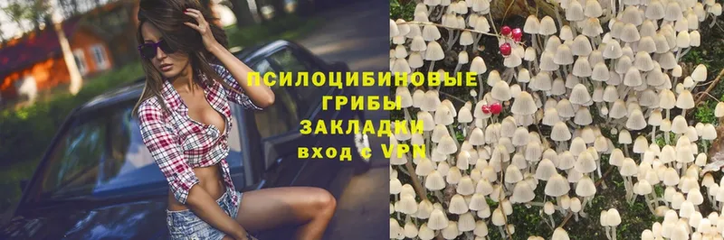 Псилоцибиновые грибы Magic Shrooms  Апрелевка 